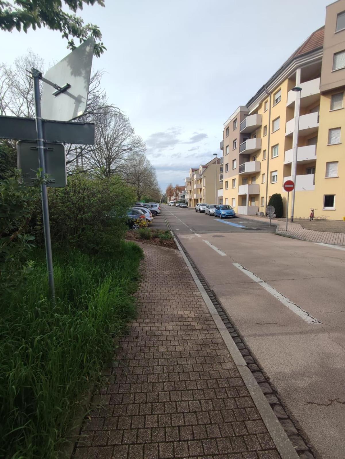 Douillet-Kanamappart-Euroairport Apartment Saint-Louis  Luaran gambar