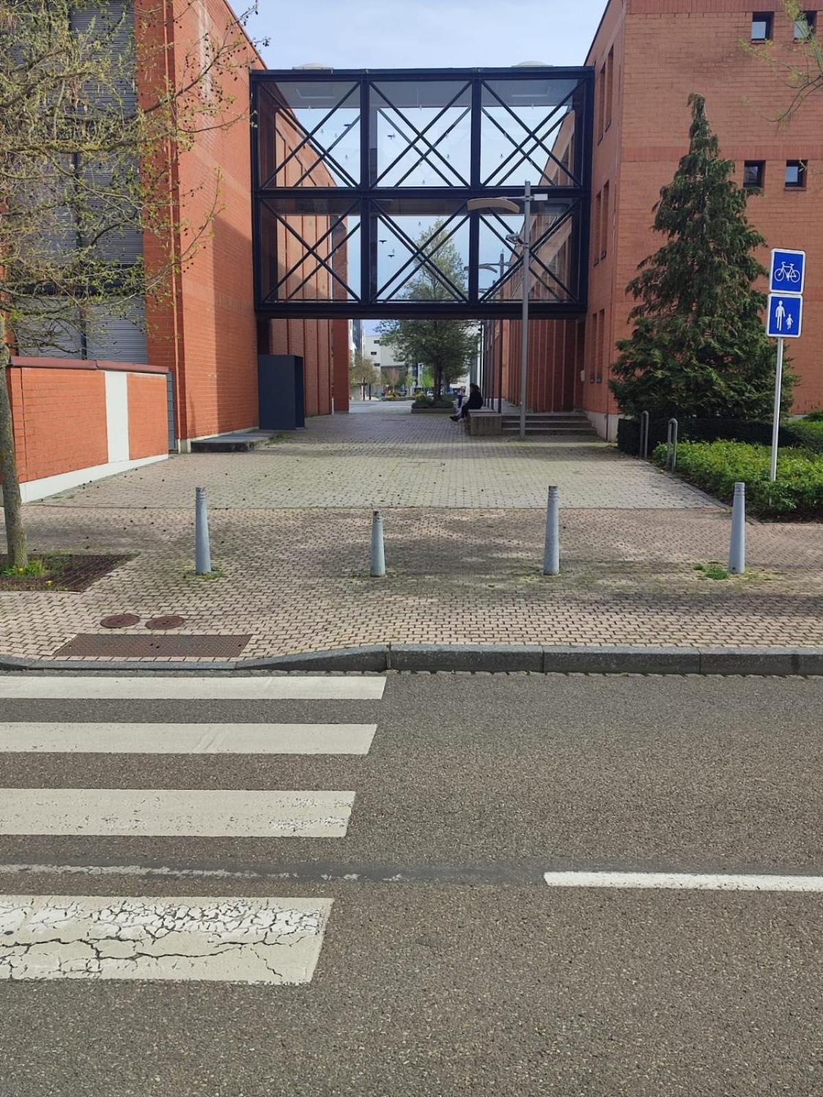 Douillet-Kanamappart-Euroairport Apartment Saint-Louis  Luaran gambar